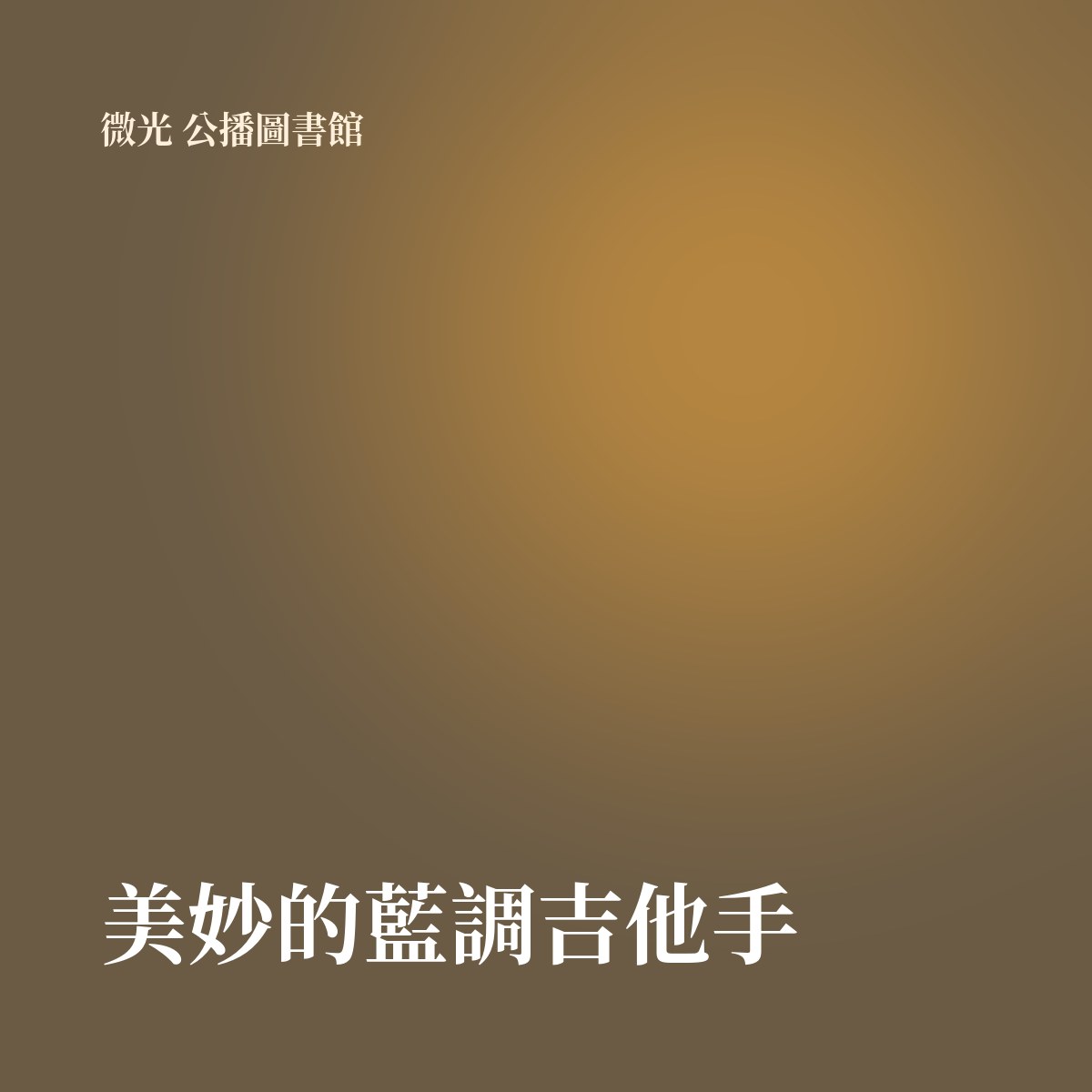 美妙的藍調吉他手 專輯封面
