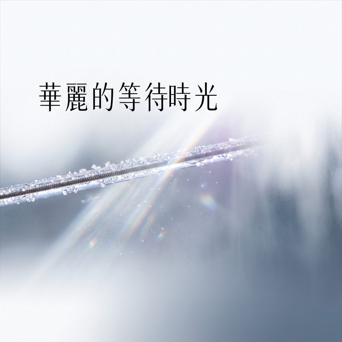 華麗的等待時光 專輯封面