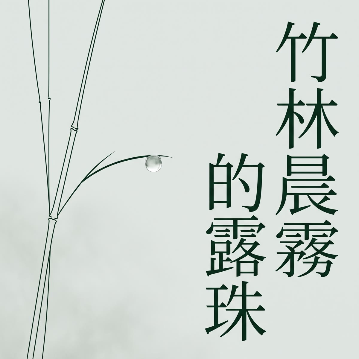 竹林晨霧的露珠 專輯封面